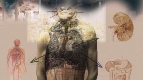 Illustration of human torso with affected organs highlighted