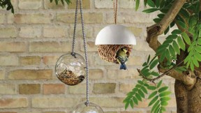 Two hanging bird feeders plus a hanging nesting basket dangle from a tree branch.