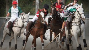 Four polo players ride horses and one swings a mallet