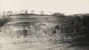 Black-and-white photo of a hill with bare trees
