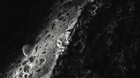 A scanning electron microscope image reveals the porous nature of a bioengineered disk where immune cells can reside and be programmed for vaccination.