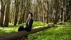 Laurie Wayburn finds both inspiration and solace in these protected wood- lands, within walking distance of her San Francisco office.