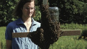 The author in 1974—already infatuated with <i>Apis melllifera</i>—studies a swarm choosing its home.