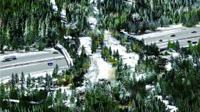 The winning wildlife-crossing design distills multiple habitat types from the surrounding landscape into parallel bands that act as corridors for various animal species. Wide bands provide an open field of view, while narrow forest and shrub bands provide enclosed corridors.
