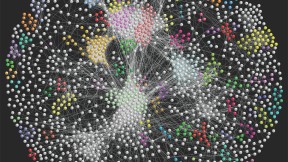 A large-scale map of protein interactions in fruit flies provides new ways to study disease.