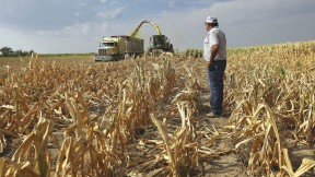 Changes in climate have surprisingly far-reaching economic effects. 