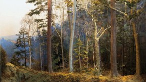 Realistic diorama of an old growth forest