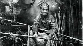 Darden preparing river-cane splints for weaving, c. 1900.