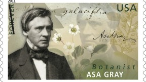 The U.S. Postal Service on June 16 issued a first-class stamp honoring botanist Asa Gray. A natural history professor, Gray also founded the Harvard Summer School 140 years ago. The stamp shows plants that he studied as well as the words <i>Shortia galacifolia</i> in his own hand. The story of his epic quest for that plant is told at http://arnoldia.arboretum.harvard.edu/pdf/articles/838.pdf.