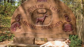 The evocative entrance to Winslow Farm Sanctuary