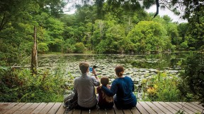 People enjoying a wildlife sanctuary 