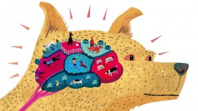 Illustration of a dog with a brain made up of different colorful regions depicting skills such as hunting and herding
