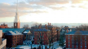 Looking south into Harvard Yard