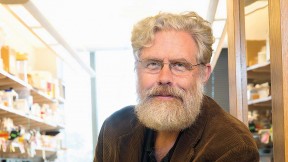 George Church&rsquo;s lab has reengineered the genetic code of the bacterium <i>Escherichia coli</i> to make it resistant to viral infection.
