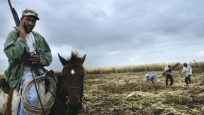 Scenes from <i>The Price of Sugar:</i> armed guards on horseback often patrol workers in shantytowns