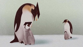 Illustration about meritocracy: one mother penguin and chick wear college mortarboards, while another mother penguin and her chick don’t.