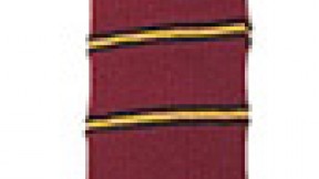 This class necktie belonged to Renny Little's father,  Bertram K. Little ’23. His class colors were orange and black.