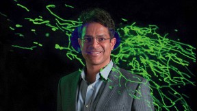 Vamsi Mootha with an image from his lab showing thread-like mitochondria (green) moving within a cell.