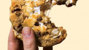 Photograph of cornflake chocolate chip marshmallow cookie from the book “Science and Cooking” 