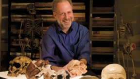 A skull session with human evolutionary biologist  Daniel Lieberman in the fossil room at the Peabody Museum.  Millions of years  of natural selection have shaped the human head. From left to right: a  Neanderthal; <i>Homo erectus; Homo habilis;  Australopithecus africanus; Pan troglodytes</i> (common chimpanzee);  <i>Homo sapiens</i> (human).  “Gonzo,” a Neanderthal skeleton, stands in the back.