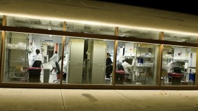 Sherman Fairchild, new home for stem cell and regenerative biology (the biggest undergraduate life-sciences concentration), buzzed with activity on a fall evening. A $65-million to $70-million rehab (see <a href="http://harvardmagazine.com/2010/11/gut-renovation">“Gut Renovation”</a>) brought members of this first cross-school (Medicine and Arts and Sciences) department together in Cambridge sooner than would have happened at the planned Allston science center site. 
