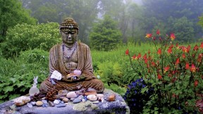 The Insight Meditation Society