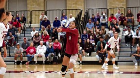 Harvard volleyball player Sandra Zeng setting a ball during a game