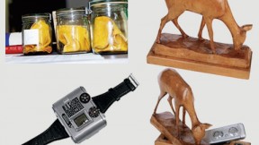 Tools of Stasi spying: jars containing dust cloths used to capture the body scent of people the Stasi was trying to track; a deer statuette with a camera hidden inside; a Swiss-made Tessina 35-mm miniature camera.