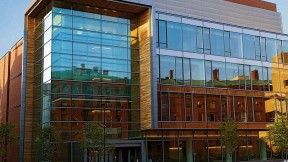 High windows overlooking a courtyard reflect the Museum of Comparative Zoology. The low granite curbs among the trees frame skylights. 