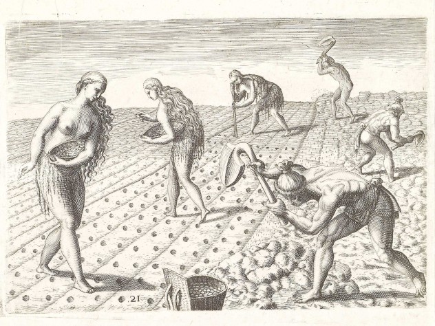 Native Americans cultivating a field