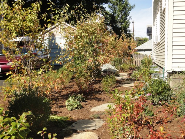 Photograph courtesy of Hillary Wyon & Paul Williamson’s Sustainable Landscape Another photograph from the garden of Hillary Wyon and Paul Williamson, designed by Elizabeth Gourley
