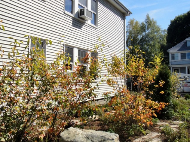 Photograph courtesy of Hillary Wyon & Paul Williamson’s Sustainable Landscape Another photograph from the garden of Hillary Wyon and Paul Williamson, designed by Elizabeth Gourley