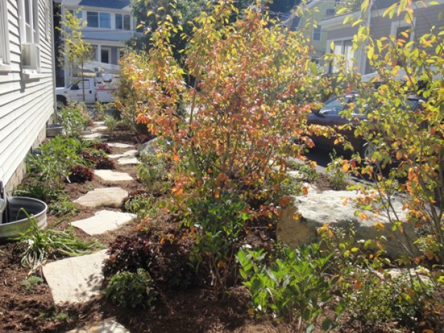 Photograph courtesy of Hillary Wyon & Paul Williamson’s Sustainable Landscape Another photograph from the garden of Hillary Wyon and Paul Williamson, designed by Elizabeth Gourley