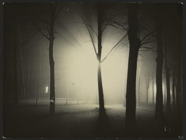 Image courtesy of the Department of Digital Imaging and Visual Resources, Harvard Art Museums © 2011 President and Fellows of Harvard College <i>Untitled</i> (Night View of Trees and Streetlamp, Burgkühnauer Allee, Dessau), 1928