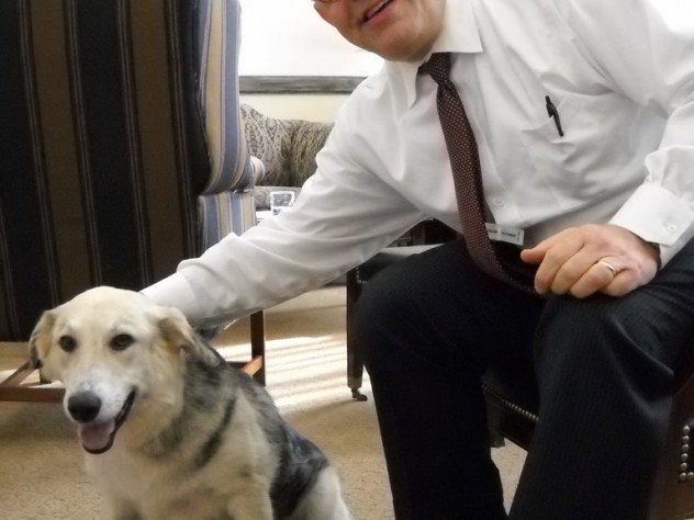 Al Franken with Blaine, the "official office dog" of his Senate office