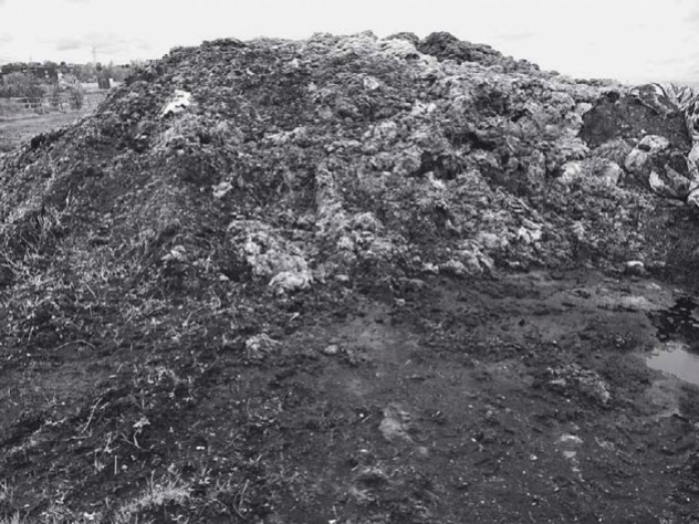 Historic photograph of heap of fabric scraps