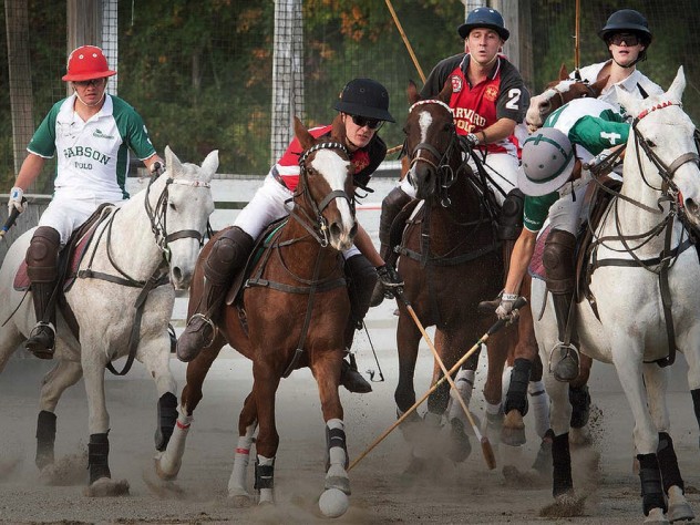 Four polo players ride horses and one swings a mallet