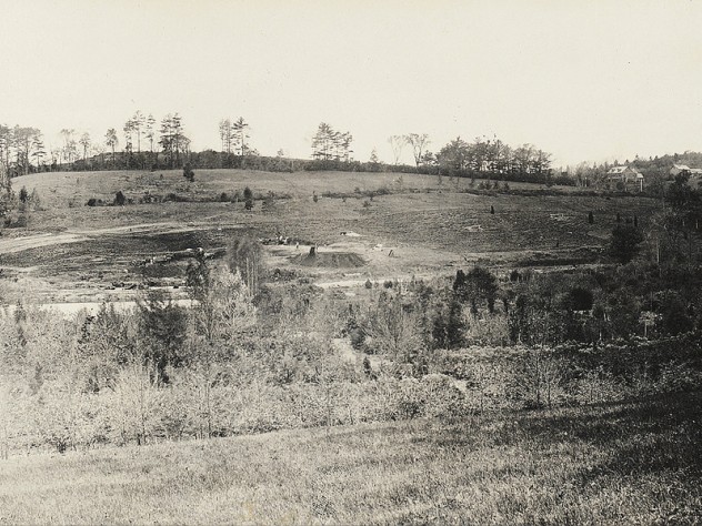 Black-and-white photo of a hill with bare trees