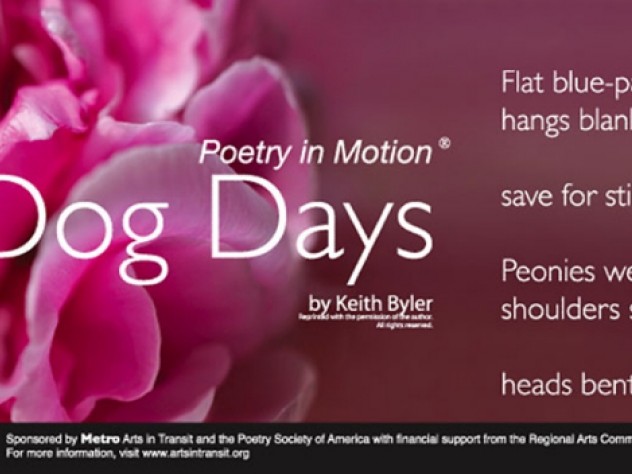 <i>Dog Days</i> by Keith Byler
