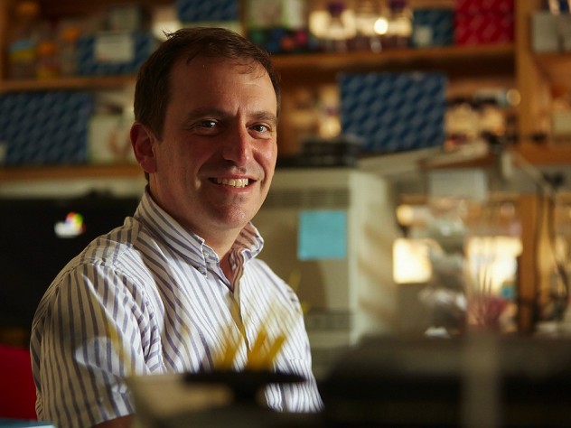 Photograph of Marc Lipsitch in his lab