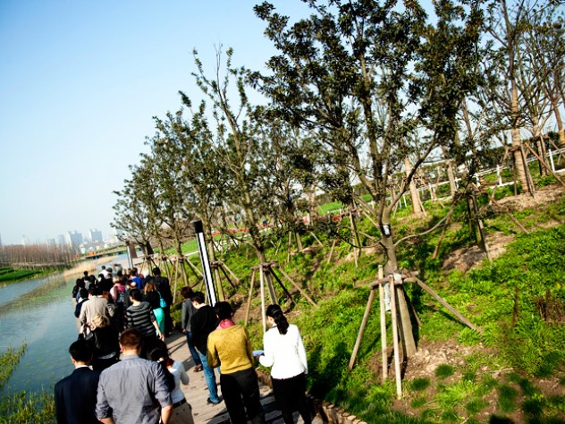 GSD students, alumni, and other Harvard guests tour the award-winning waterfront park at Shanghai’s Expo 2010 site—an alternative, green model for development.
