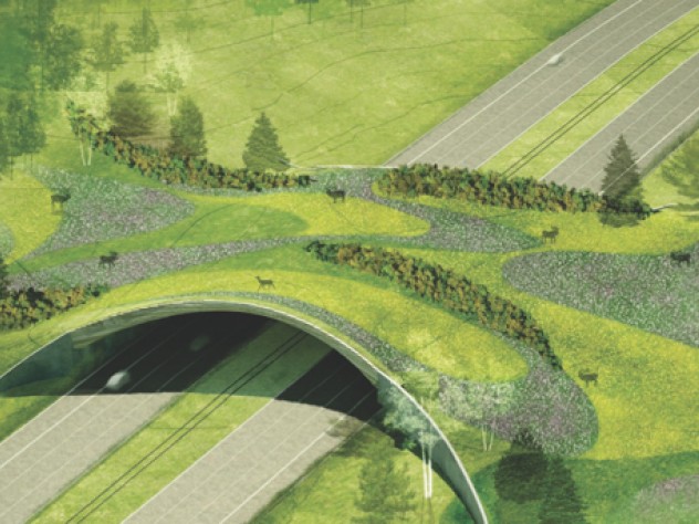Image courtesy of The ARC International Wildlife Crossing Infrastructure Design Competition/Balmori Associates An overview of the Balmori Associates design