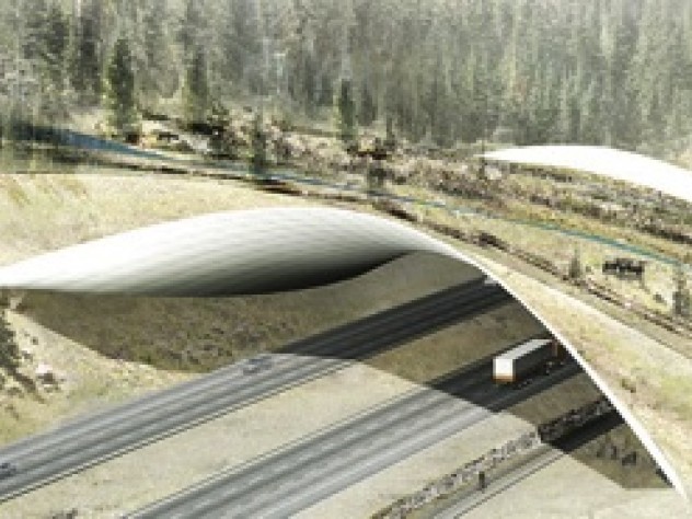 Image courtesy of The ARC International Wildlife Crossing Infrastructure Design Competition/Zwarts & Jansma Architects A design from Zwarts & Jansma Architects emphasizes curves as a design principle.