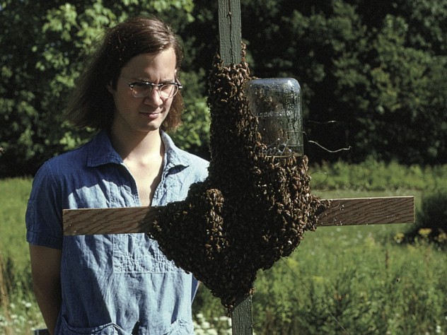 The author in 1974—already infatuated with <i>Apis melllifera</i>—studies a swarm choosing its home.
