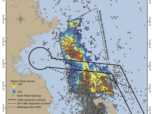 In this map of the Stellwagen Bank National Marine Sanctuary, the dots show right whales; the colors, the density of baleen whales.