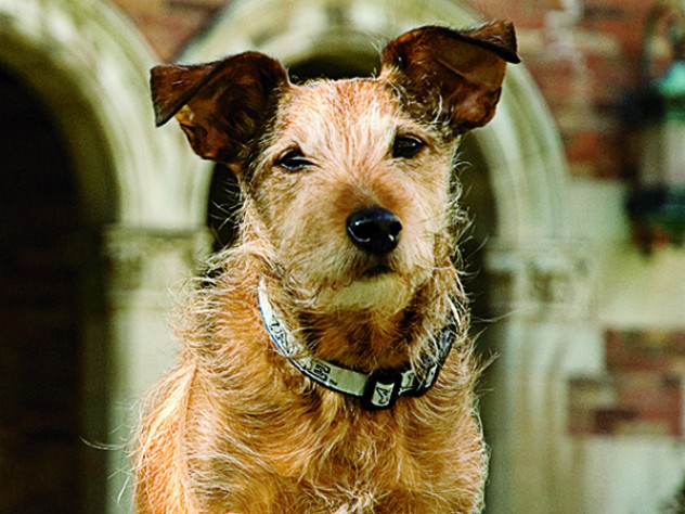 Monty: Check him out.