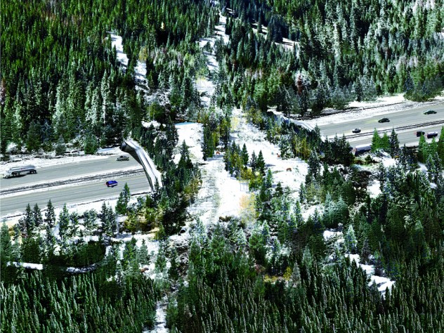Image courtesy of The ARC International Wildlife Crossing Infrastructure Design Competition/ HNTB and Michael Van Valkenburgh Associates The winning wildlife-crossing design distills multiple habitat types from the surrounding landscape into parallel bands that act as corridors for various animal species. Wide bands provide an open field of view, while narrow forest and shrub bands provide enclosed corridors.