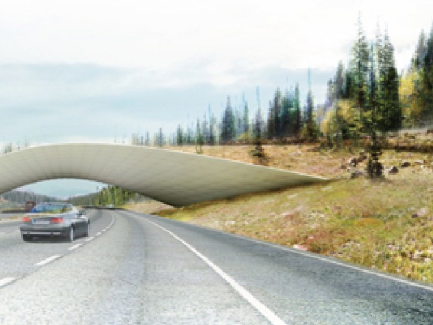Image courtesy of The ARC International Wildlife Crossing Infrastructure Design Competition/Zwarts & Jansma Architects From Zwarts & Jansma Architects, an impression from a driver's perspective