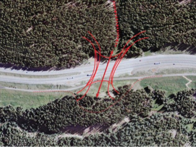 Image courtesy of The ARC International Wildlife Crossing Infrastructure Design Competition/Zwarts & Jansma Architects From Zwarts & Jansma Architects, an aerial view of the proposed wildlife-crossing site