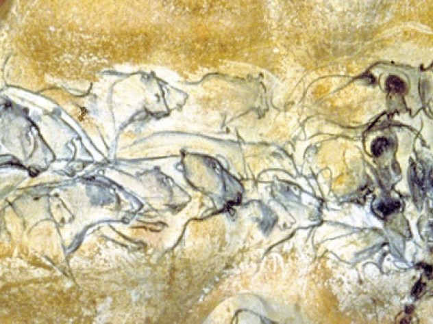 Photographs courtesy of the French Ministry of Culture and Communication, Regional Direction for Cultural Affairs, Rhône-Alpes region/Regional Department of Archaeology The Lion Panel, with bison (the lions’ likely prey), a young mammoth, and rhinoceros